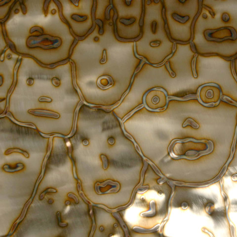 "Society" torch painted original on stainless steel - Jason Mernick
