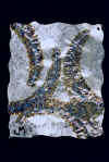 Stainless_Ferns, Jason Mernick, Jageaux and Metal Art